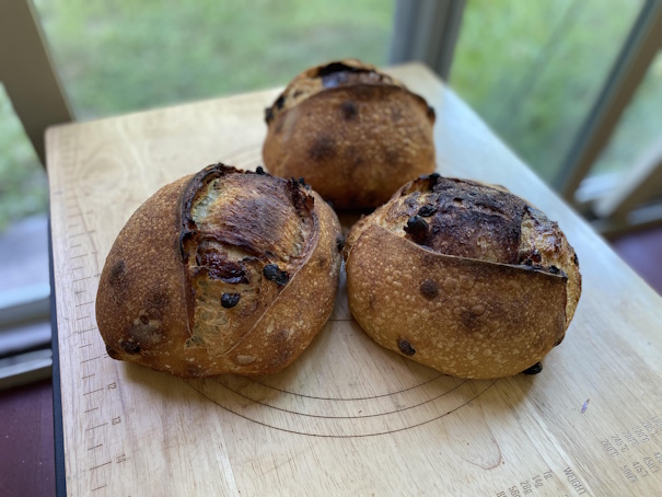 Cinnamon Swirl Sourdough